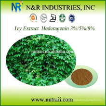 Alta qualidade Ivy Extract Hederagenin 3% / 5% / 8%